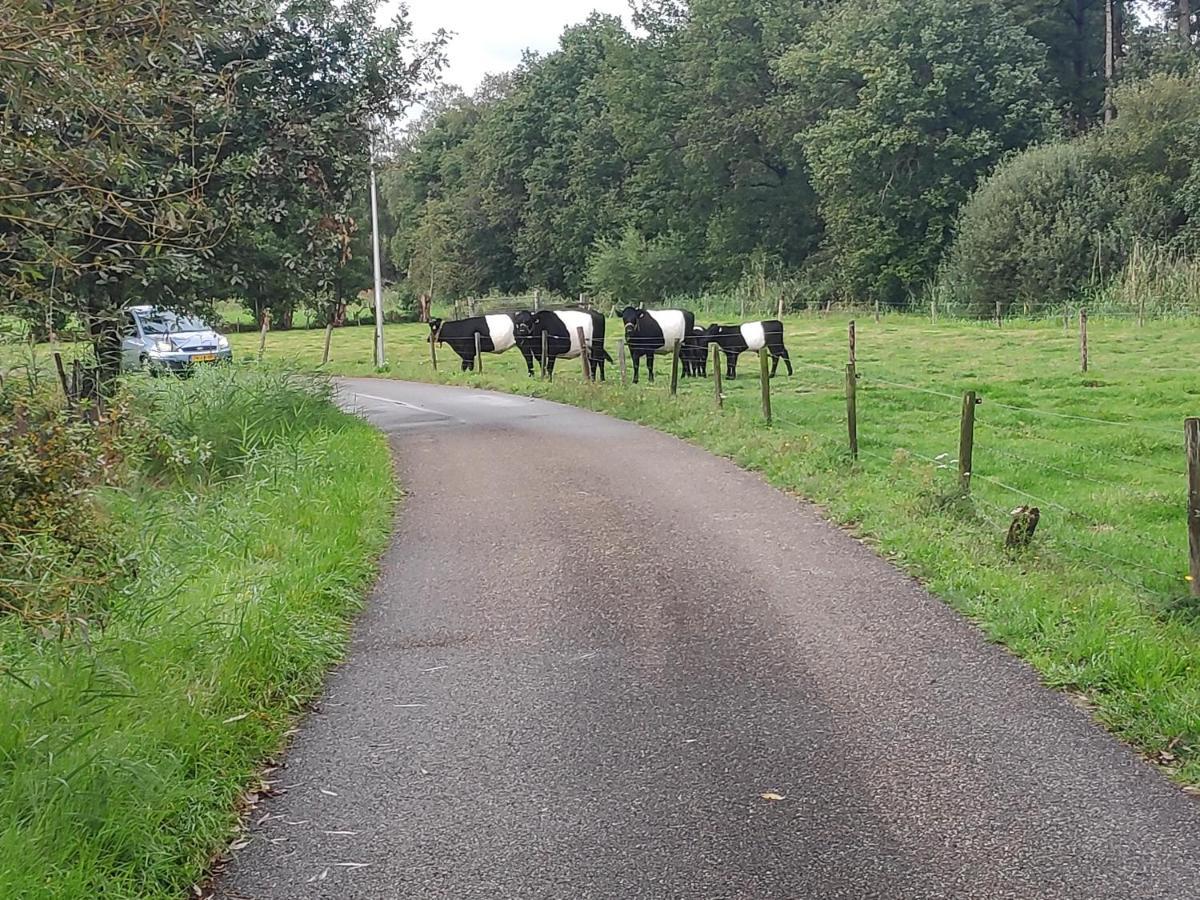 Elferink Hoeve Woudenberg Exterior photo